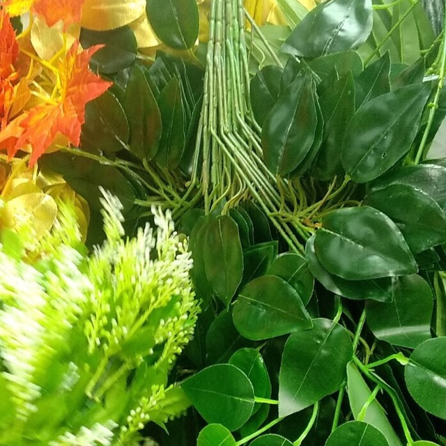 Cành lá si giả - 12 cành