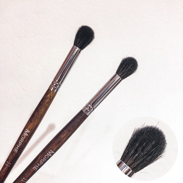 Cọ trang điểm chuyên nghiệp Morphe các loại