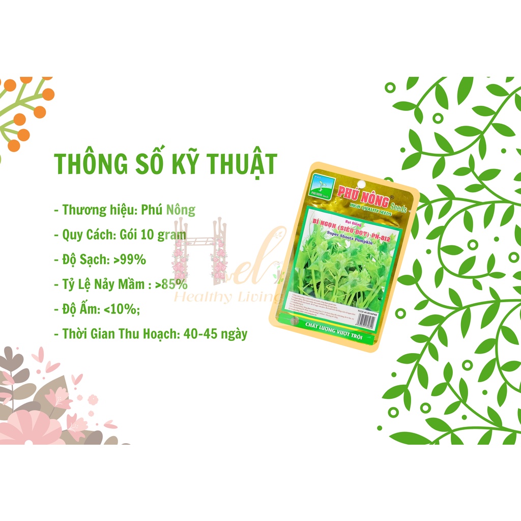 Hạt Giống Rau Bí Ngọn Siêu Đọt Dễ Trồng, Năng Suất Cao - Trồng Hạt Giống Rau Củ Quả Bằng Đất Sạch, Xơ Dừa, Mùn Dừa