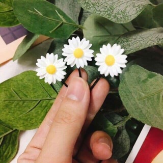 Kẹp tóc hoa cúc