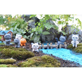 1 con mèo bực tức ngẫu nhiên terrarium tiểu cảnh