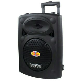 Loa kéo temeisheng dp 131 tặng kèm 2 micro