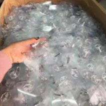 Móc Dán Tường Siêu Dính Trong Suốt Chịu Lực Tốt Treo Tường Chắc Chắn 6x6 cm