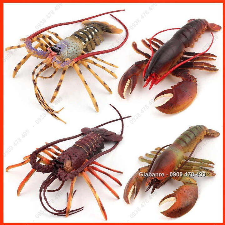 Mô Hình Tôm Hùm Tôm Càng Lobster - 7676