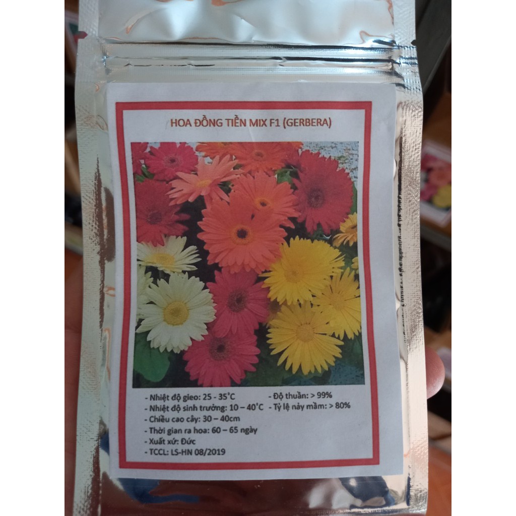 Gói 30 HẠT GIỐNG HOA ĐỒNG TIỀN CAO MIX MÀU  giá sỉ