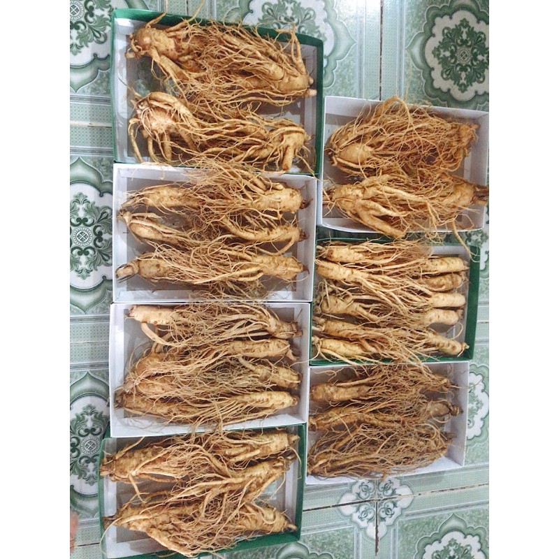 Sâm Hàn Quốc size 8 củ 1kg.1 củ chỉ 250k