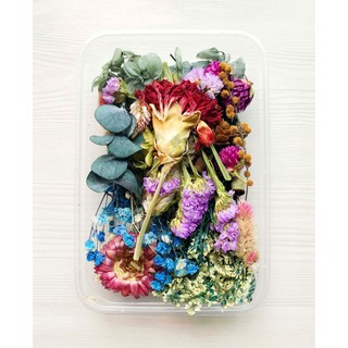 ❤️ Hộp hoa khô vĩnh cửu hỗn hợp 6 loại hoa ❤️ hoa khô nguyên liệu handmade ❤️ Resin ❤️ cài tóc❤️