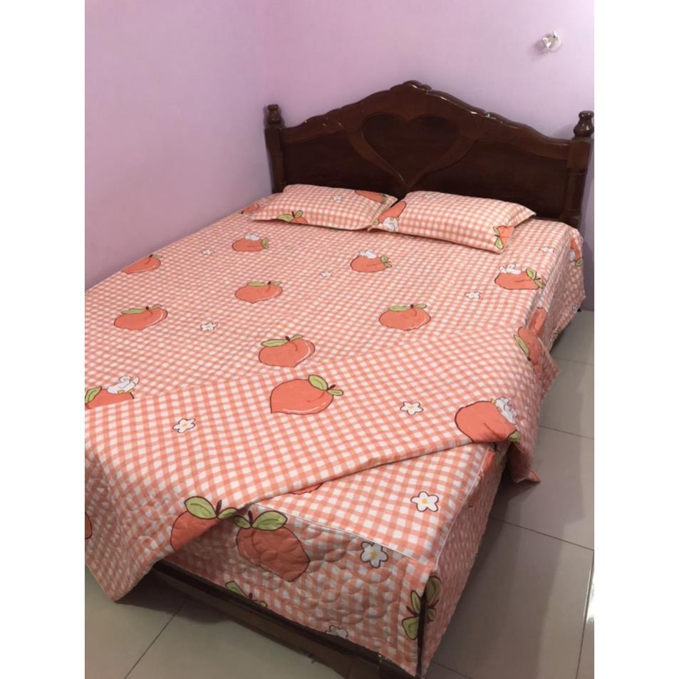 [SIÊU GIẢM GIÁ] Bộ Ga Gối Trần Bông 5 Món Dày Dặn, Xẻ Góc ( 1 ga phủ, 2 vỏ gối đầu, 1 gối ôm, 1 chăn trần bông)