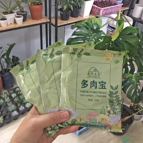PHÂN TAN CHẬM DÙNG CHO SEN ĐÁ.XƯƠNG RỒNG