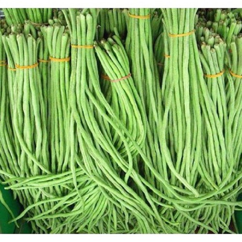 Hạt giống đậu đũa ngọt - rau củ quả trồng chậu, sân vườn ban công ngon giòn ngọt nảy mầm cao 20g RADO757