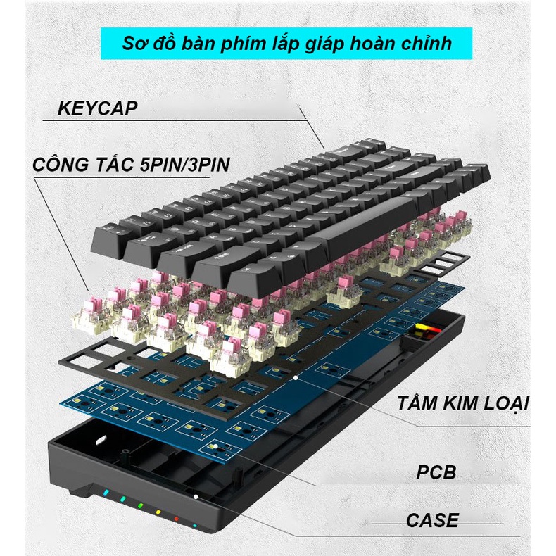 KIT RK7 Bàn phím cơ không dây mini Royal Kludge RK71 LED RGB 71 phím pin sạc 1000mAh, kết nối Bluetooth nhỏ gọn