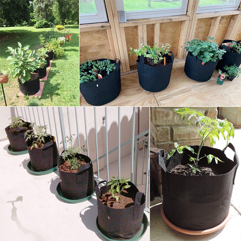 Set 5 Túi Vải Trồng Cây 3 Gallon Có Quai Cầm Tiện Lợi Dành Cho Vườn Nhà