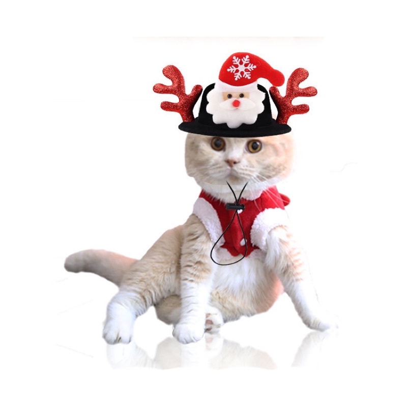 NÓN NOEL CHO THÚ CƯNG