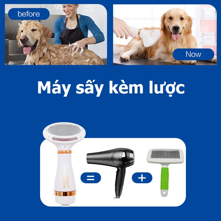 Máy sấy lông chó mèo kèm lược dùng cho thú cưng nhỏ PH820