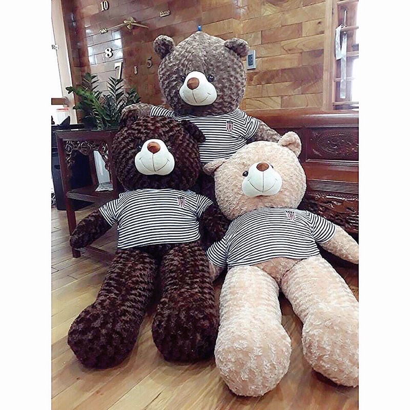 Gấu Bông Teddy, Thú Nhồi Bông Siêu To Mặc Áo Cao Cấp Chất Liệu Lông Xù Big Size