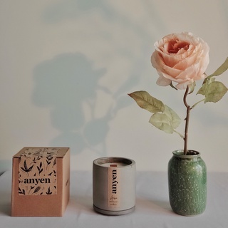 Peach - Nến thơm (scent of Ocean Peach / hương Đào Biển)