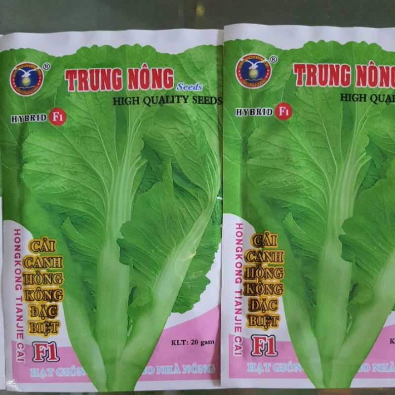 Hạt giống cải canh hồng kông 20gram
