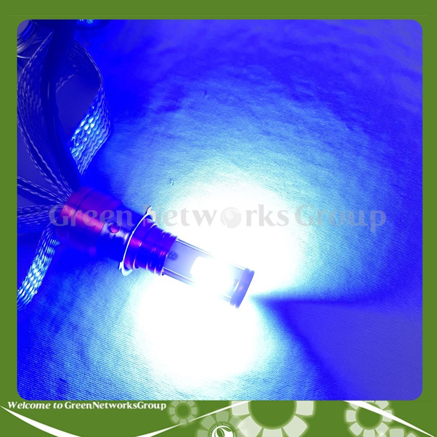 Đèn led râu H4 sáng 5 chế độ (Trắng - Vàng -Xanh Dương - Tím - Chớp đủ màu) Greennetworks ( 1 Đèn )
