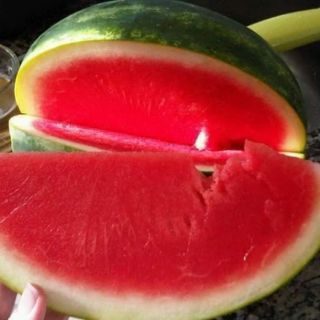 DƯA HẤU THÁI MẶT TRỜI ĐỎ