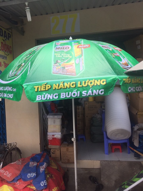 Ô DÙ LỚN CAO 2M5 RỘNG 2M4_QUÀ TẶNG TỪ MILO