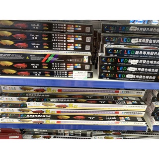 Đèn led 85% xml 2 hàng bóng cho cá rồng