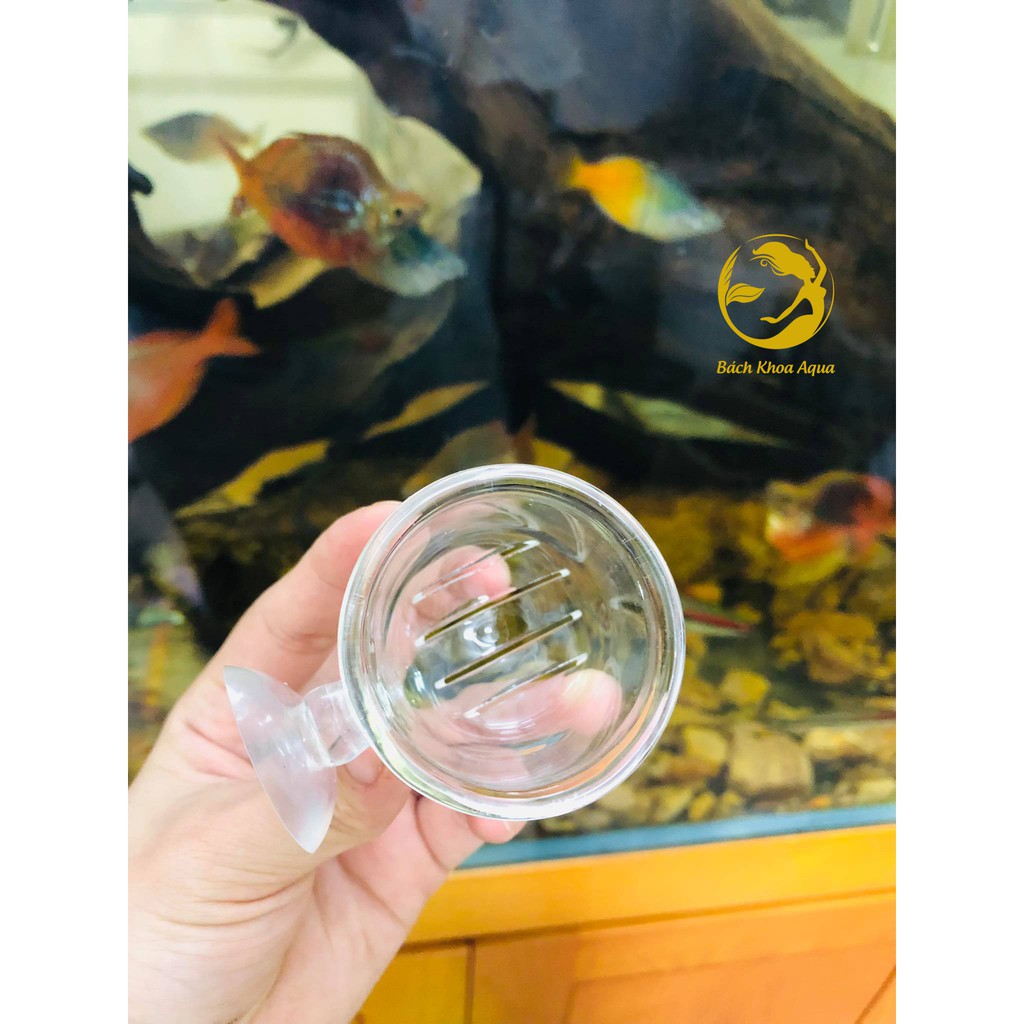 Cốc đựng giun cho cá ăn thủy tinh 4.5cm x 4.5cm