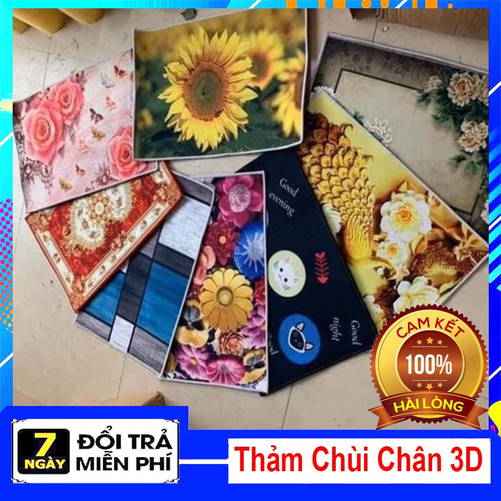 Thảm Trải Sàn Chùi Chân 3D - Thảm Lau Chân chống trơn, trượt kích thước 40x60cm hình ngẫu nhiên WONTER