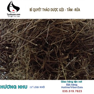 Hương Nhu Khô 100gr