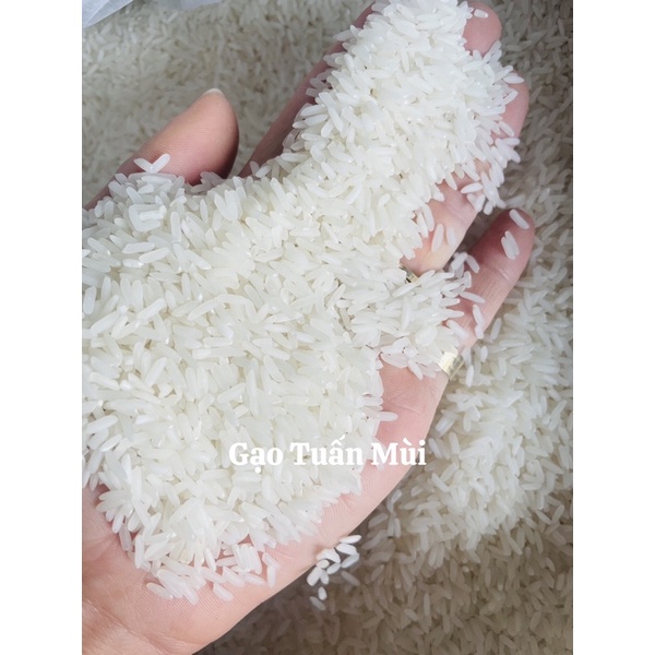 Gạo Nàng Hoa (Bao 5ky) Dẻo Vừa, Ngọt Thơm Cơm