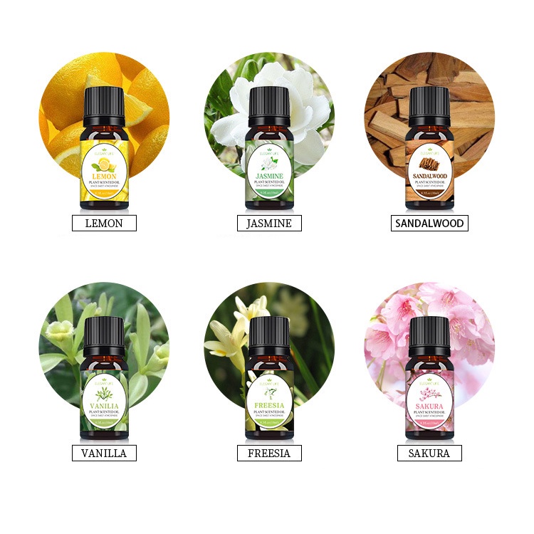Tinh dầu Mộc Nhiên nguyên chất có kiểm định nhiều mùi 10ml, treo xe, kẹp điều hòa: Tinh dầu Sả Chanh, Bạc Hà