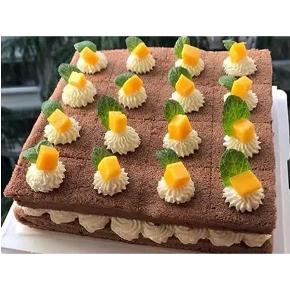 Khuôn ring mousse vuông có điều chỉnh kích thước 16cm - 28cm