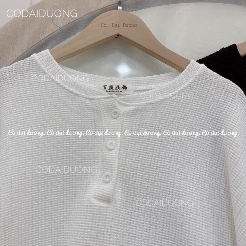 Áo bo tăm len  mỏng dài tay thu đông cúc bánh bèo 2 màu trắng đen  nhẹ nhàng ullzang Bibi.store.99 - ảnh thật cuối | BigBuy360 - bigbuy360.vn