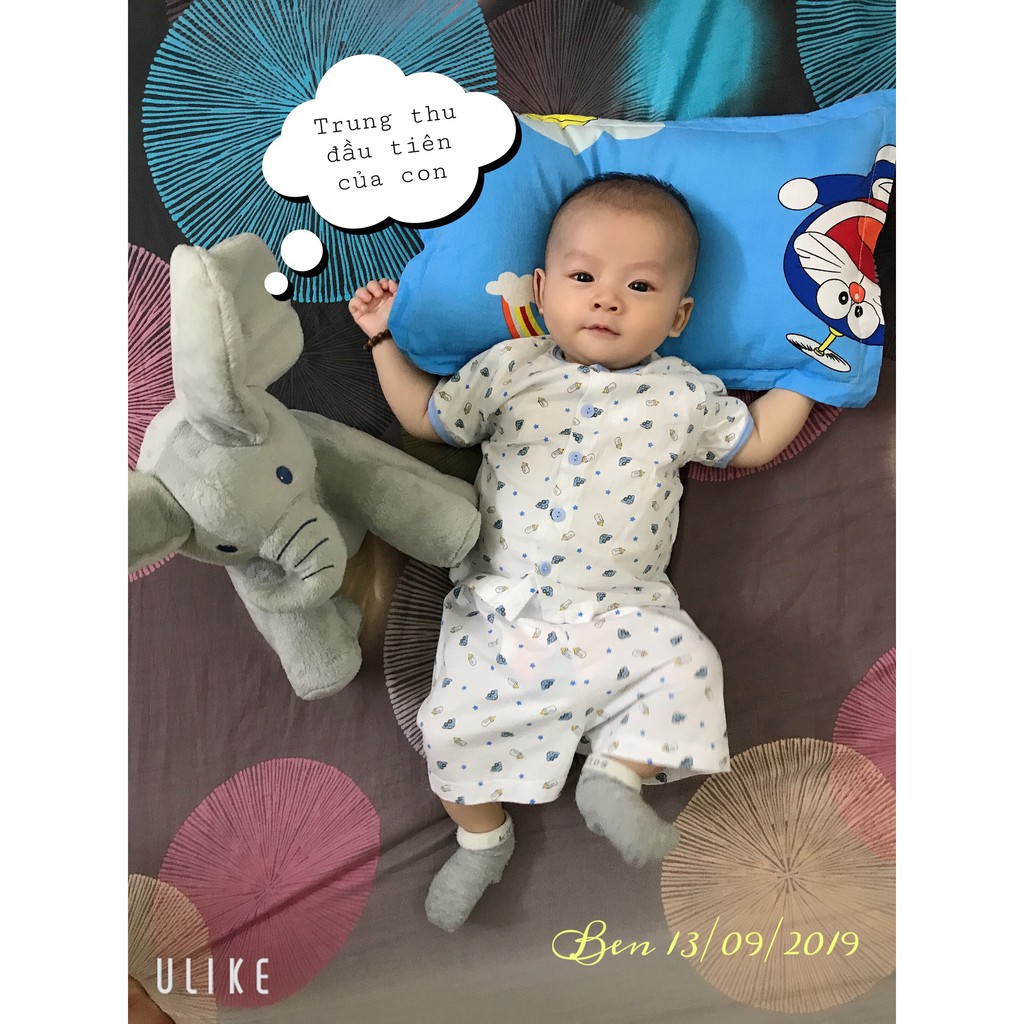 (MIOMIO hè) Bộ ngắn nút giữa-Miomio