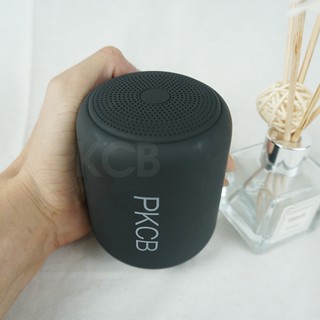 Loa Bluetooth Mini PKCB42 120