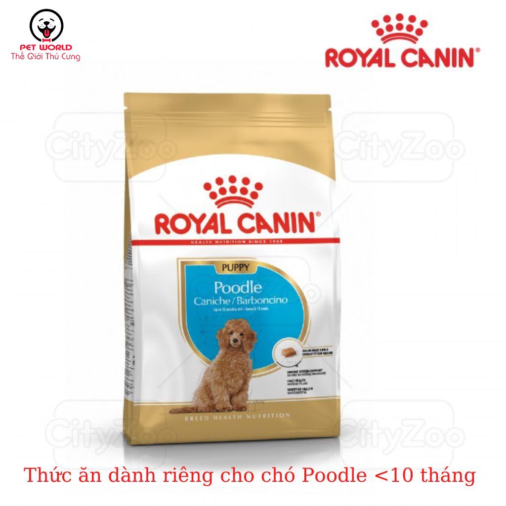 Hạt Royal Canin Poodle Puppy Cho Chó Con Poodle &lt;10 tháng