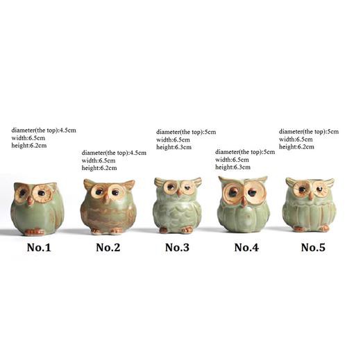 Chậu cây cảnh bằng sứ hình chim cú