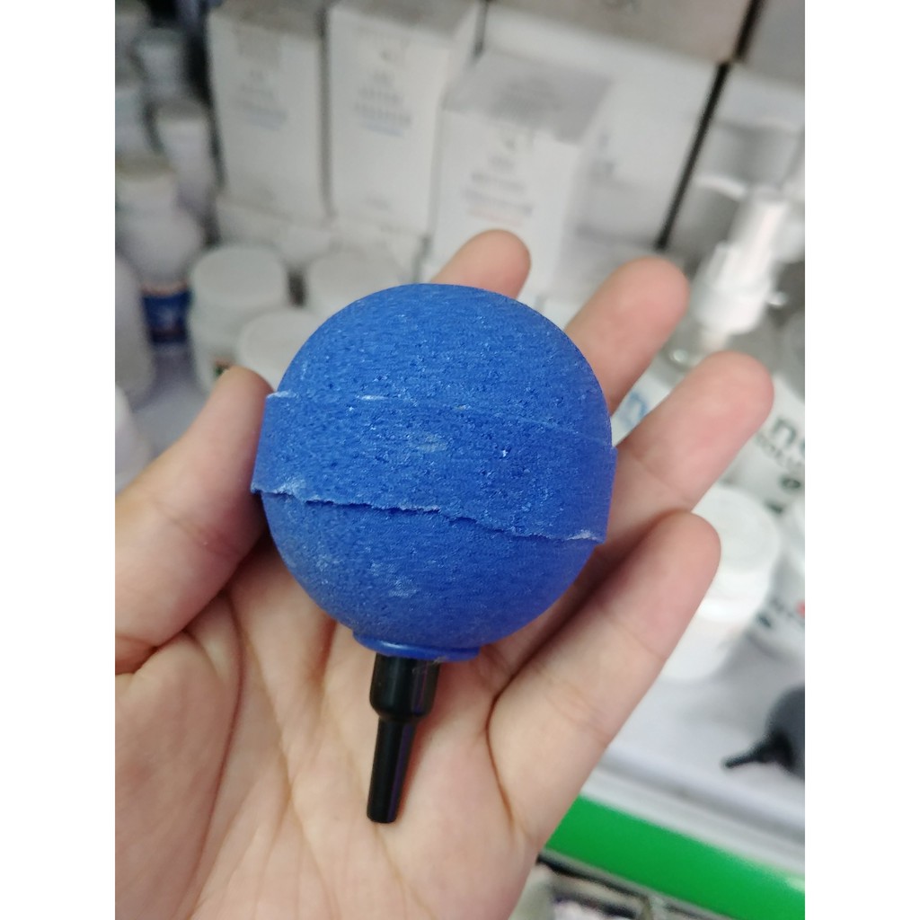 Sủi dạng tròn