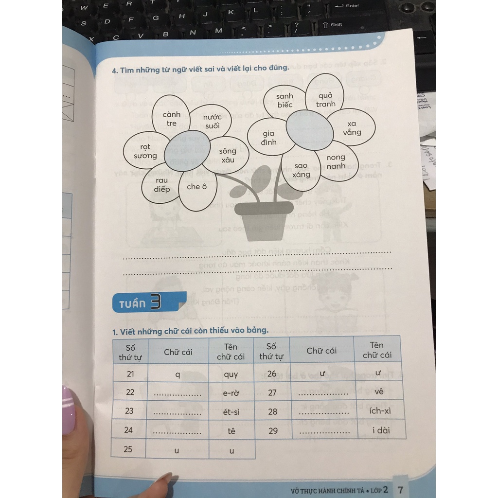 Sách - Vở thực hành chính tả lớp 2 ( kết nối tri thức )