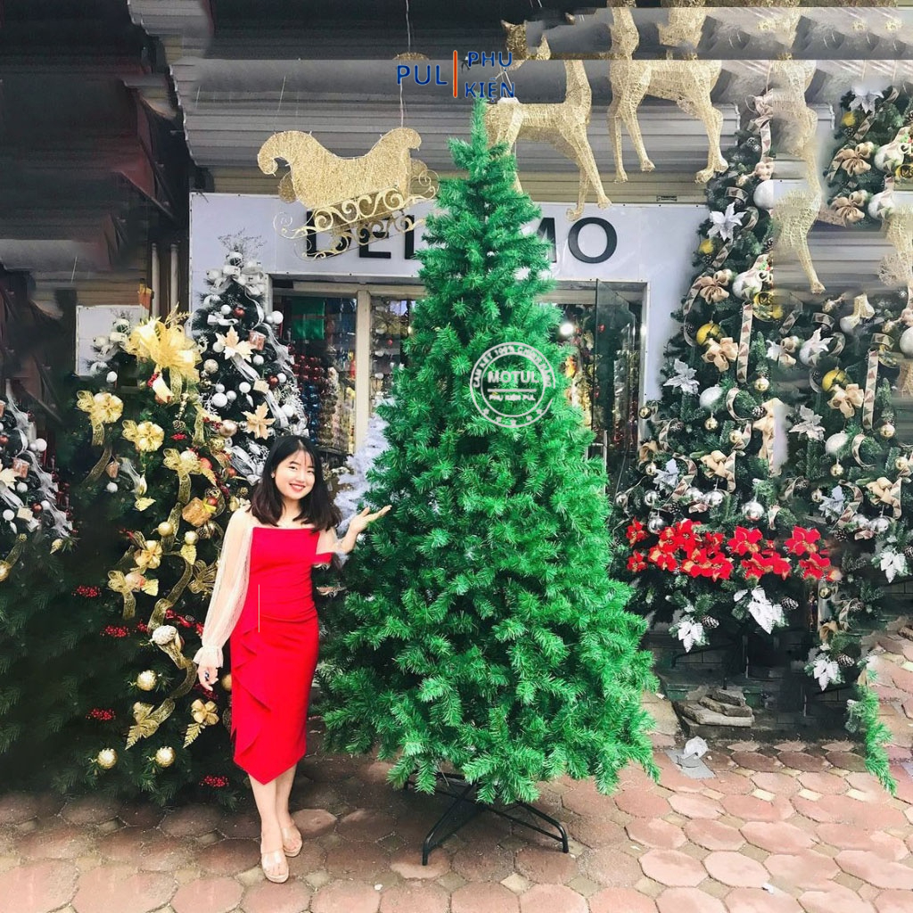 Hỏa tốc HCM Cây thông noel 2M 3M 4M XANH TRƠN tặng ngôi sao và dây kim tuyến hàng việt nam decor trang trí giáng sinh