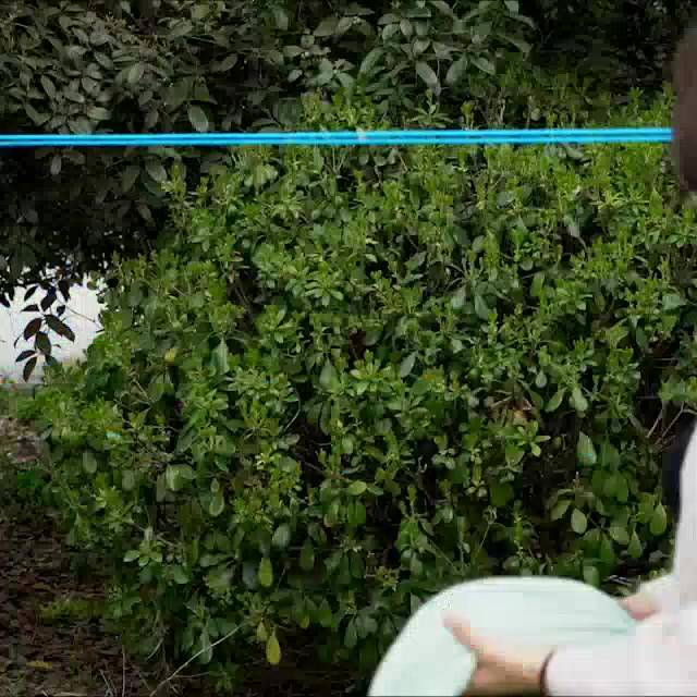 Dây phơi đồ thông minh chống bay quần áo cuộn 5 mét | BigBuy360 - bigbuy360.vn