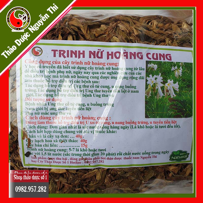 Cây trinh nữ hoàng cung hỗ trợ điều trị u xơ tử cung -1kg SP Của CTY Thảo Dược Số 1