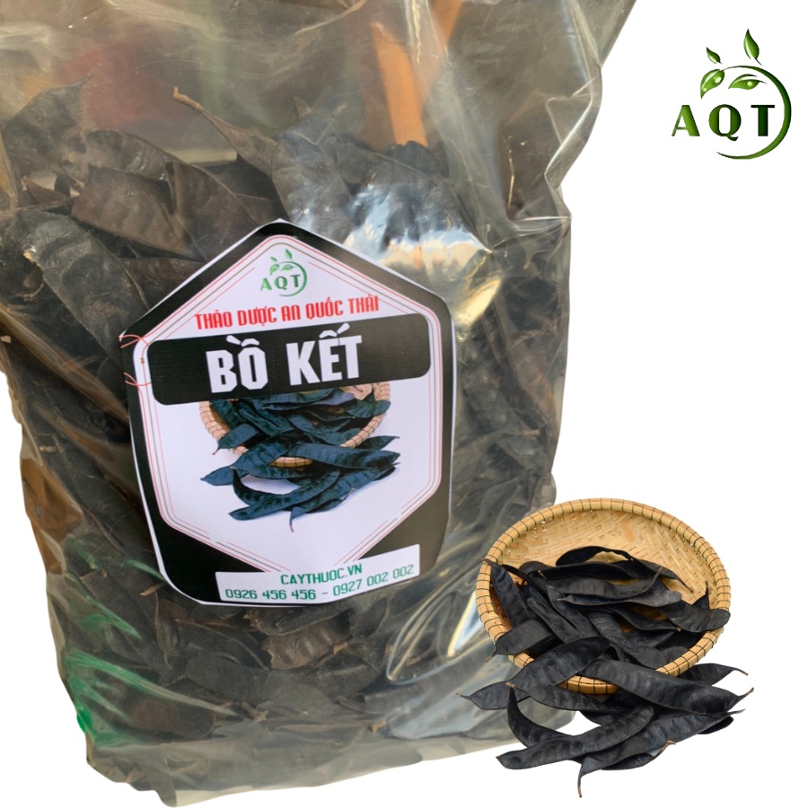 1KG Trái Bồ Kết, Quả Bồ Kết Khô [LOẠI 1] Trái To, Quả Mẩy, Đẹp, Xông Nhà Khử Khuẩn, Gội Đầu Mượt Tóc