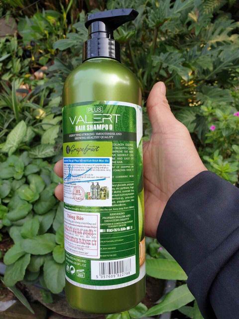 Dầu gội bưởi cặp