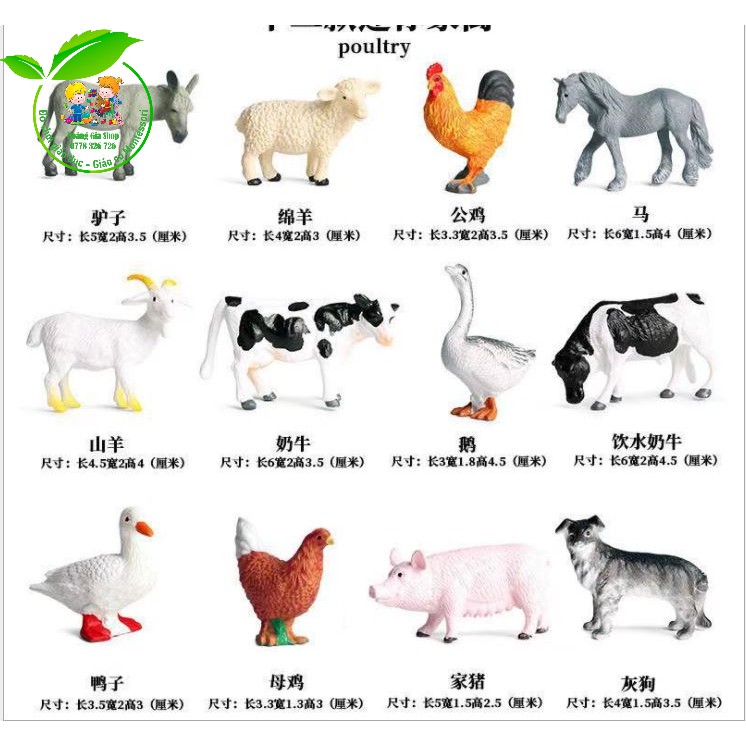 Mô hình 12 động vật nuôi dùng trong góc ngôn ngữ, góc sinh học