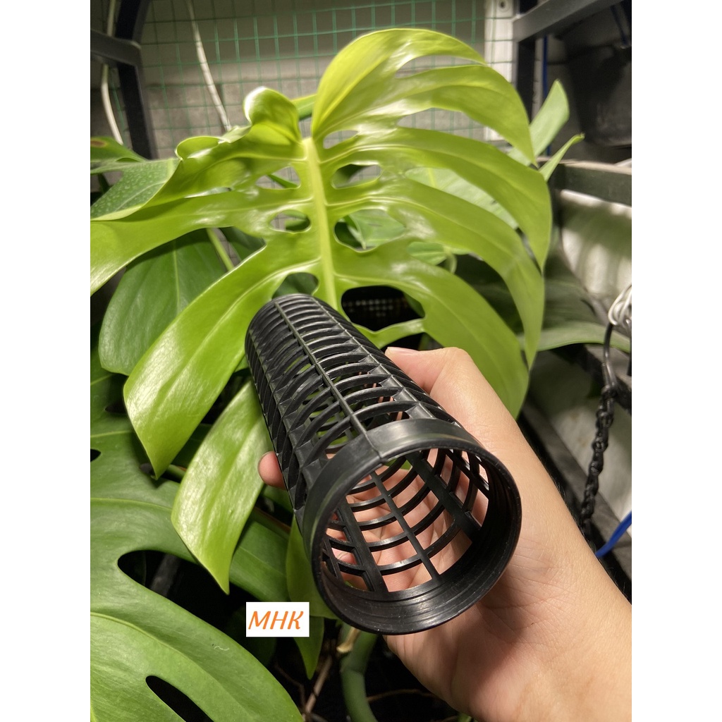 Trụ nhựa , trụ leo , trụ trồng cây ,trụ dớn , plant climbing pole ! Size nhỏ 20 x 5.5 cm !