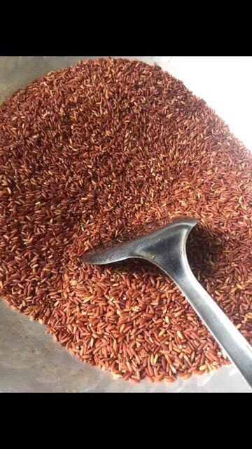 Trà gạo lứt, đậu đen (đỗ đen), hoa nhài rang tay detox giảm cân | BigBuy360 - bigbuy360.vn