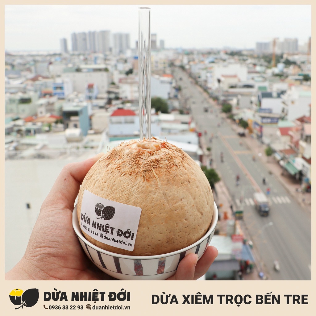 01 DỪA XIÊM GỌT TRỌC TIỆN LỢI SIZE LỚN (450g - 700g) | DỪA XIÊM BẾN TRE