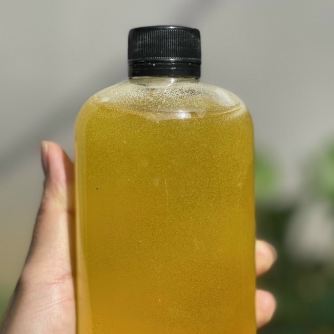 Mật Ong Hoa Bạc Hà - Cam Kết Mật Ong Chuẩn 100%