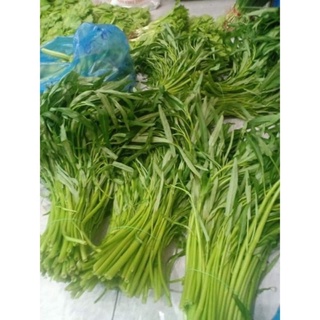 Rau Muống Đồng Tươi