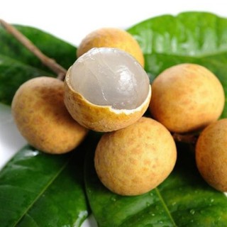 Nhãn muộn hưng yên - cây giống học viện ươm
